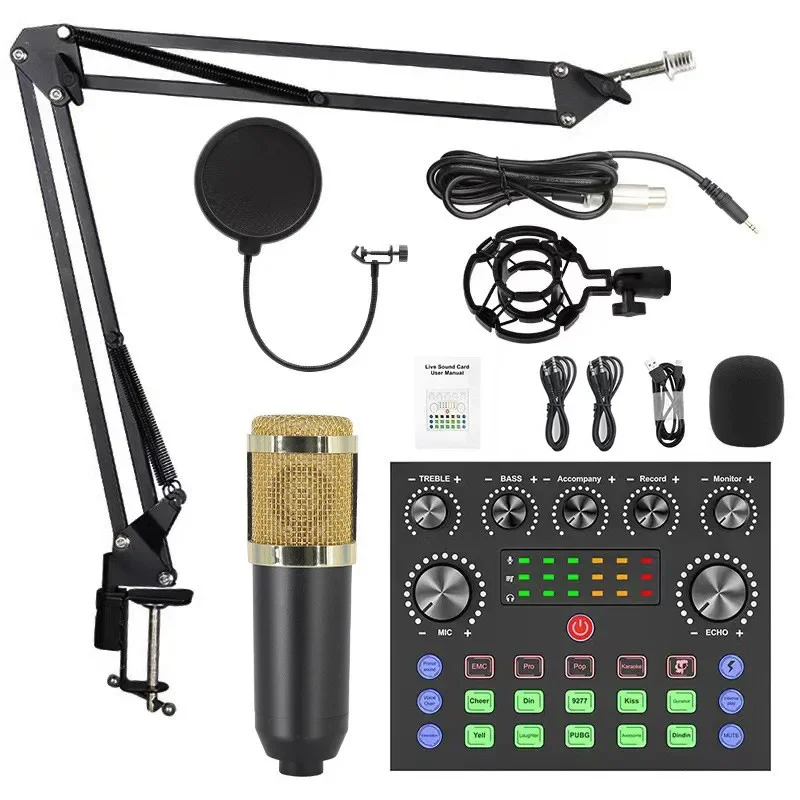 Condenser Microphone Singing W - đánh giá và giá Shure Mic Sm58