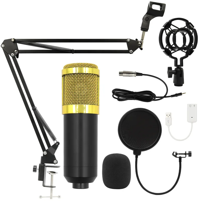 Condenser Microphone Singing W - đánh giá và giá Shure Mic Sm58